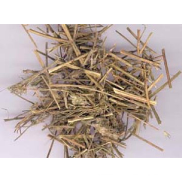 Морщинистый экстракт травы экстракт Gianthyssop / Elsholtzia Ciliata Extract